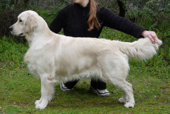 U sing like n'music of Glen Sheallag