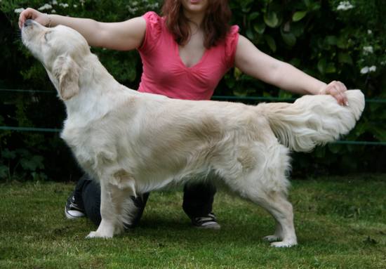 Beautiful love music De la Seigneurie des Vignes