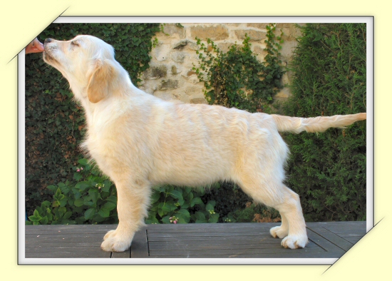 Beautiful music De la Seigneurie des Vignes